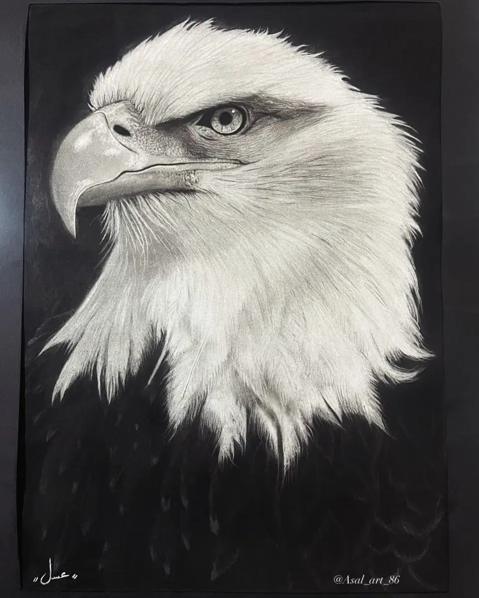 سفارش چهره سیاهقلم پذیرفته میشود|تابلو، نقاشی، عکس|هشتگرد, هشتگرد قدیم|دیوار