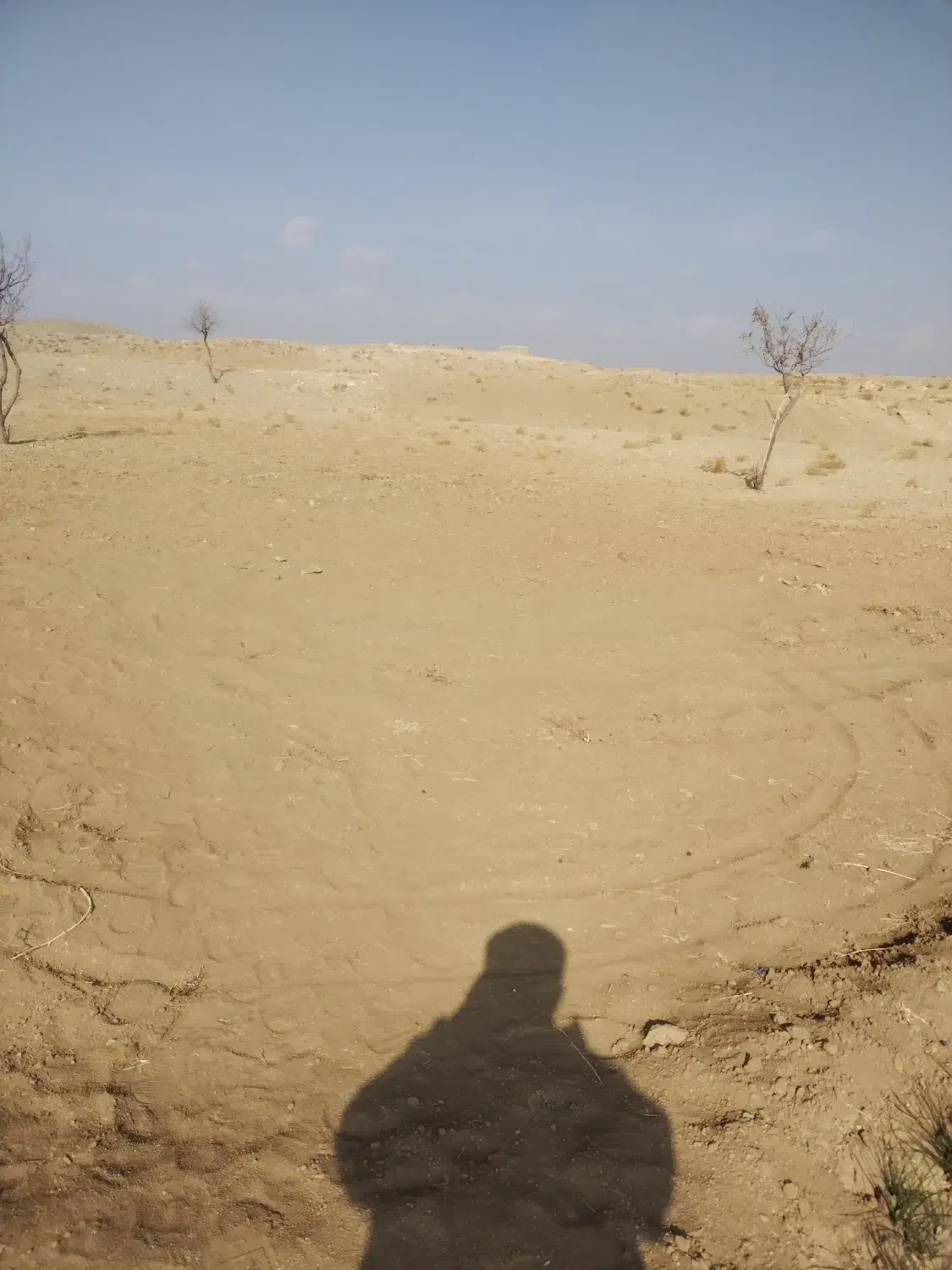 فروش زمین|فروش زمین و ملک کلنگی|تربتحیدریه, بالا ولایت|دیوار