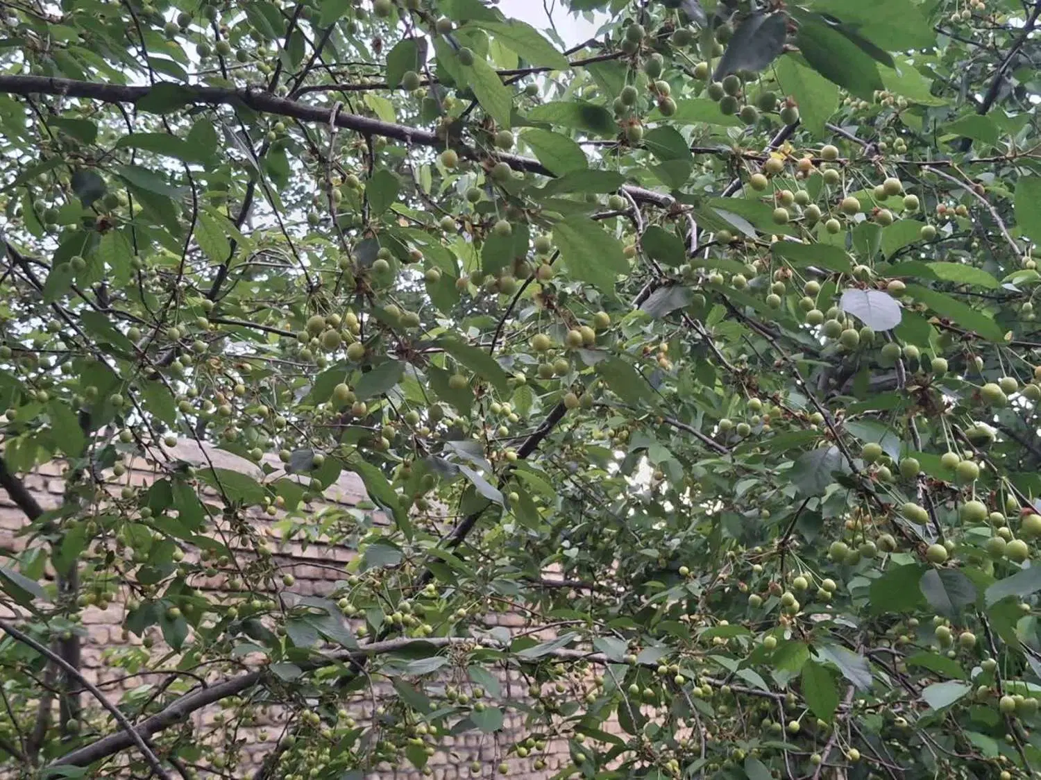 تصویر 18