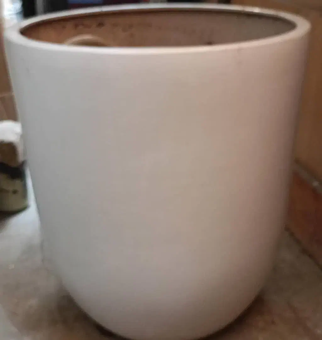 گلدان|گل و گیاه طبیعی|تهران, بهمن یار|دیوار