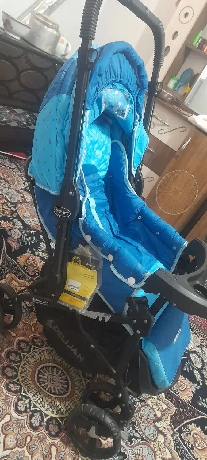 کالسکه دلیجان|کالسکه و لوازم جانبی|زنجان, |دیوار