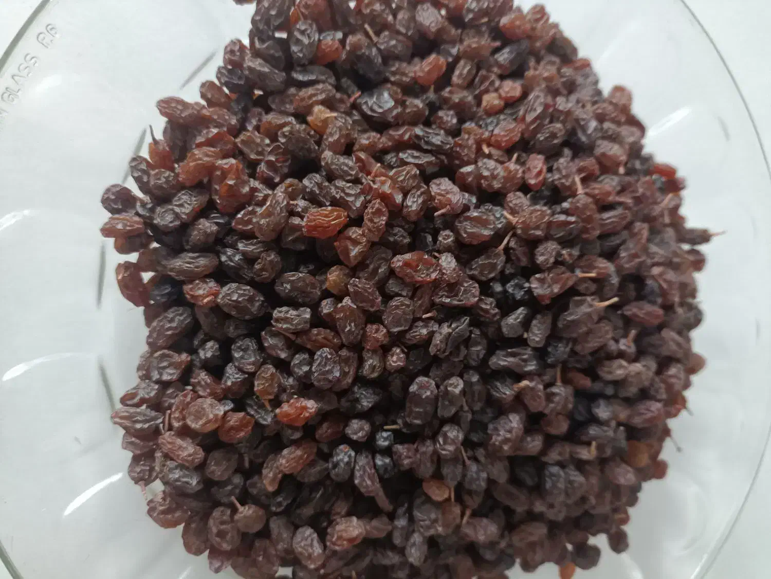 کشمش تازه و تمیز|خوردنی و آشامیدنی|مهاباد (آذربایجان غربی), |دیوار