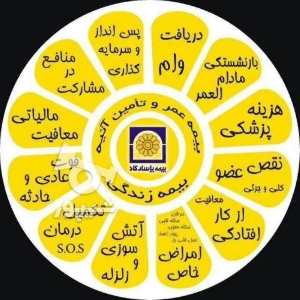 بیمه عمر پاسارگاد|خدمات مالی، حسابداری، بیمه|تبریز, |دیوار
