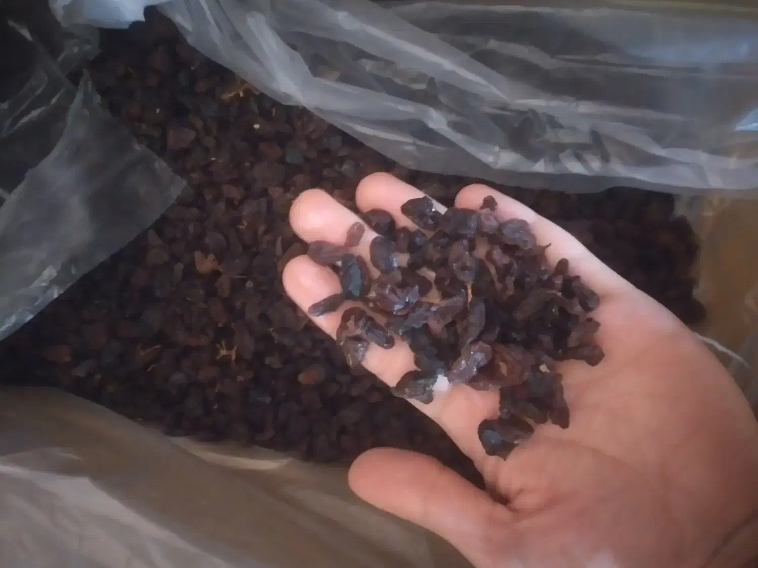 کشمش ازبک با کمترین قیمت 155/000ت|عمدهفروشی|بناب, |دیوار