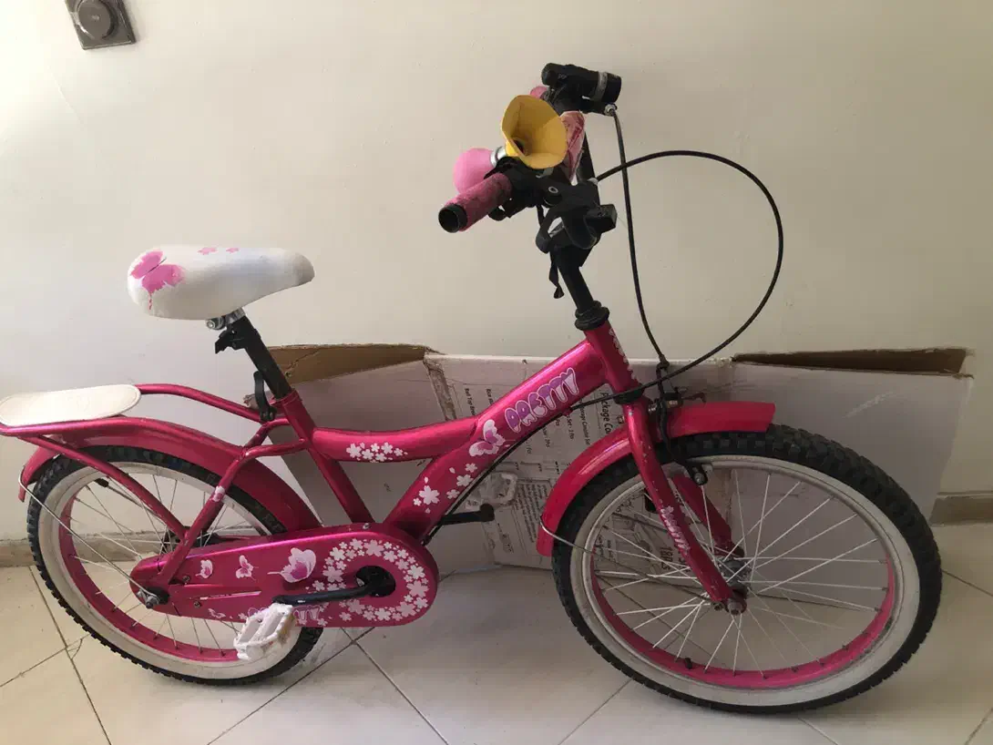 دوچرخه ۱۶|دوچرخه، اسکیت، اسکوتر|شیراز, معالی‌آباد|دیوار