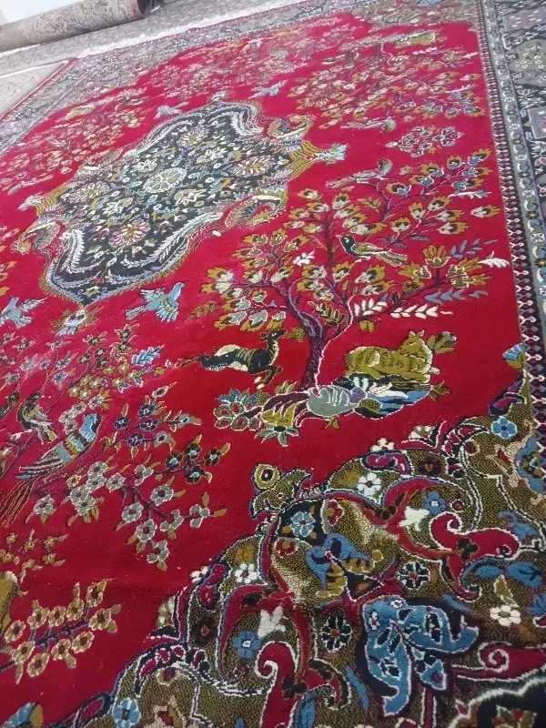 فرش ۱۲ متری|فرش|بروجرد, |دیوار