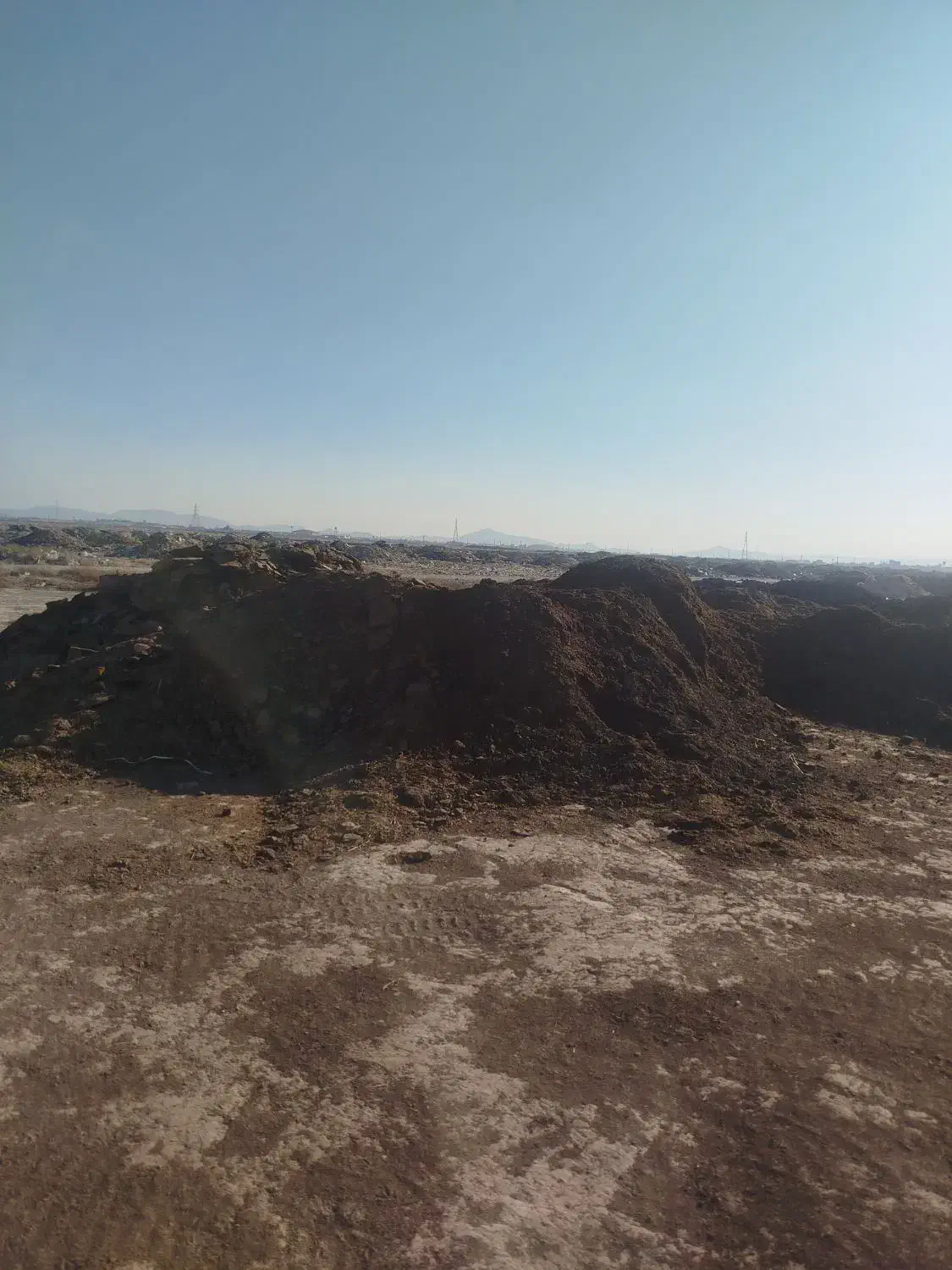 پخش کود دامی|خدمات باغبانی و درختکاری|محمدشهر, محمدشهر|دیوار