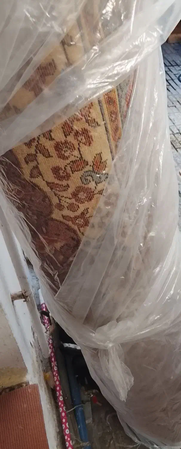 یک تخته فرش|فرش|رشت, جهاد|دیوار