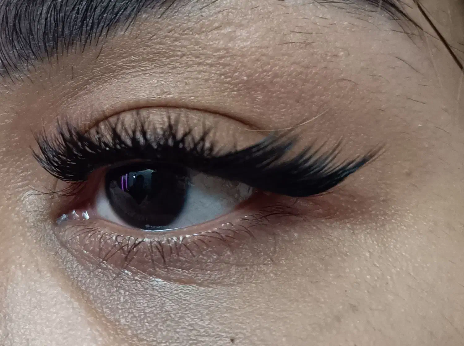 جشنواره کاشت مژه 250|خدمات آرایشگری و زیبایی|اسلامشهر, شهرک واوان|دیوار