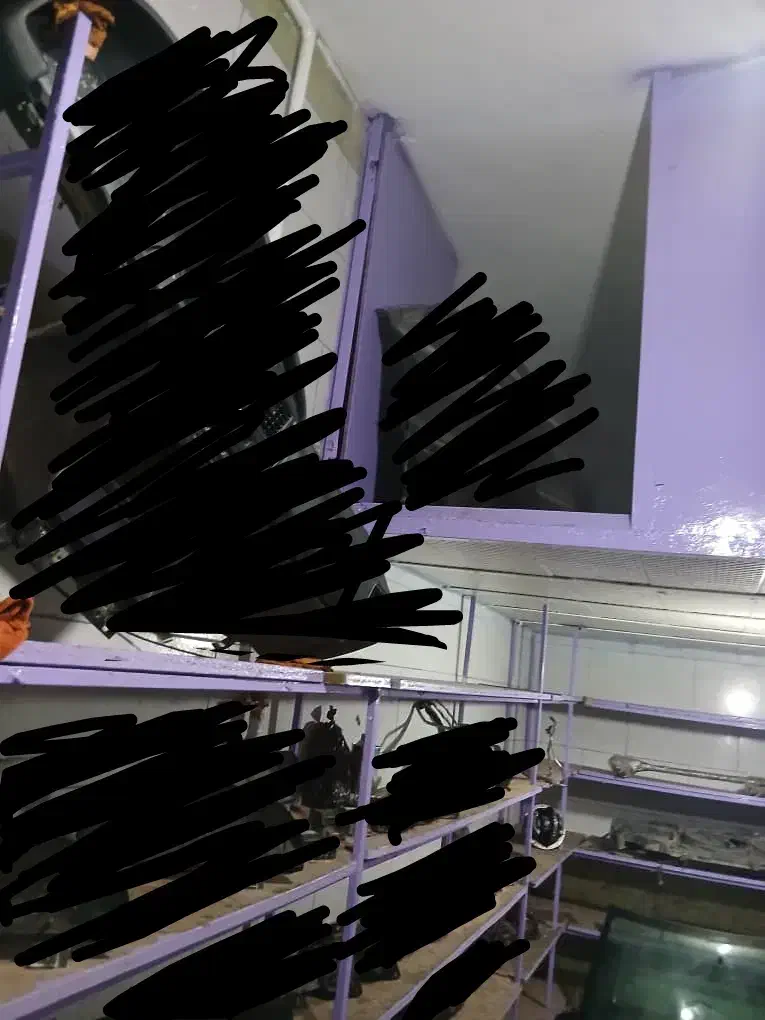 اجاره مغازه تجاری|اجارهٔ مغازه و غرفه|نهاوند, |دیوار