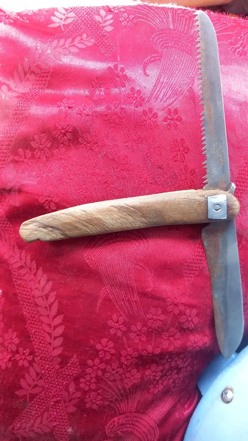 فروش یک عدد چاقو اره دسته شاخ کرگدن بسیار کمیاب|کلکسیون اشیاء عتیقه|سپیدار, |دیوار