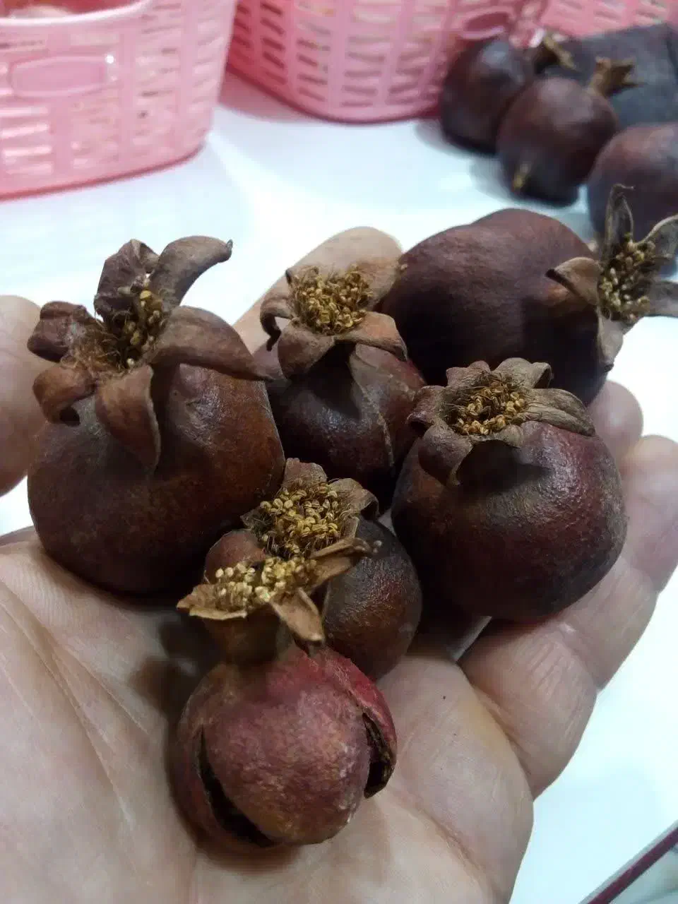 انار طبیعی خشک تزئینی|صنایع دستی و سایر لوازم تزئینی|مشهد, رده|دیوار