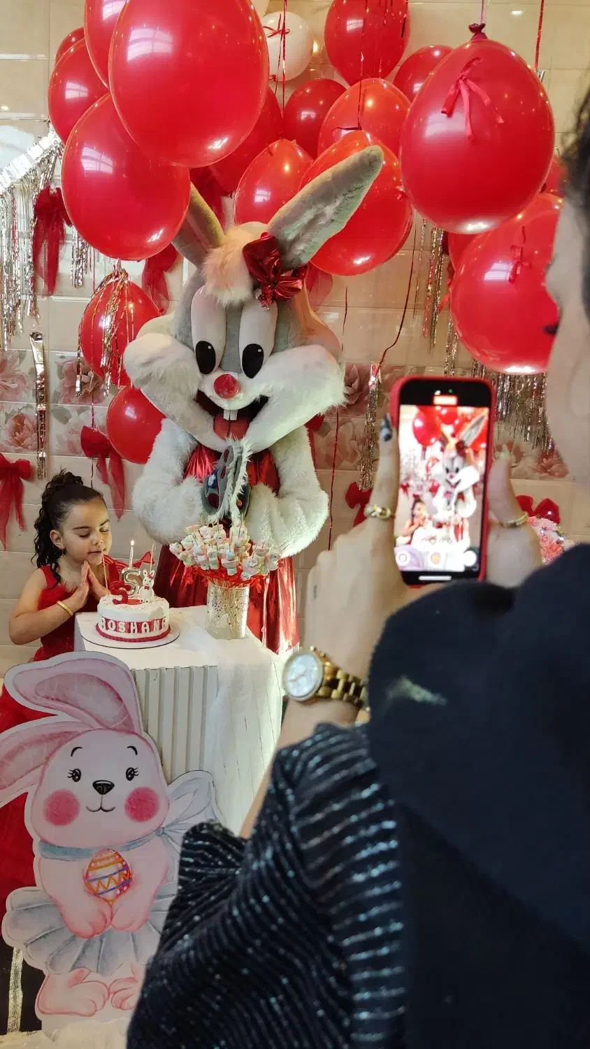 آدم برفی|مجسمه، تندیس، ماکت|تبریز, |دیوار