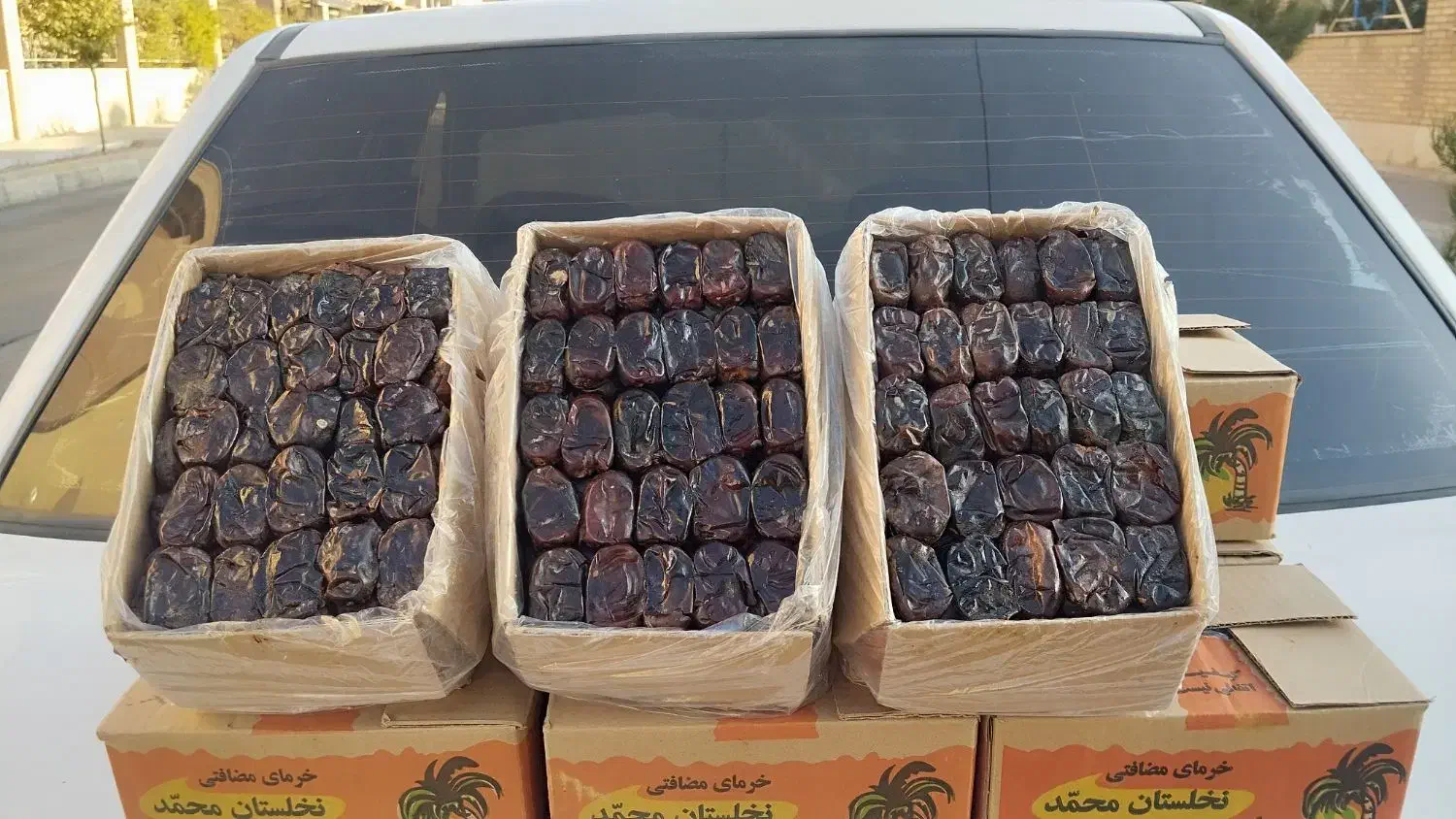 خرما از باغ به مشتری بدون واسطه|خوردنی و آشامیدنی|قم, پردیسان|دیوار