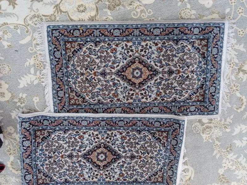 دو عدد پادری|پادری|سبزوار, شهرک صنعتی خاوران|دیوار