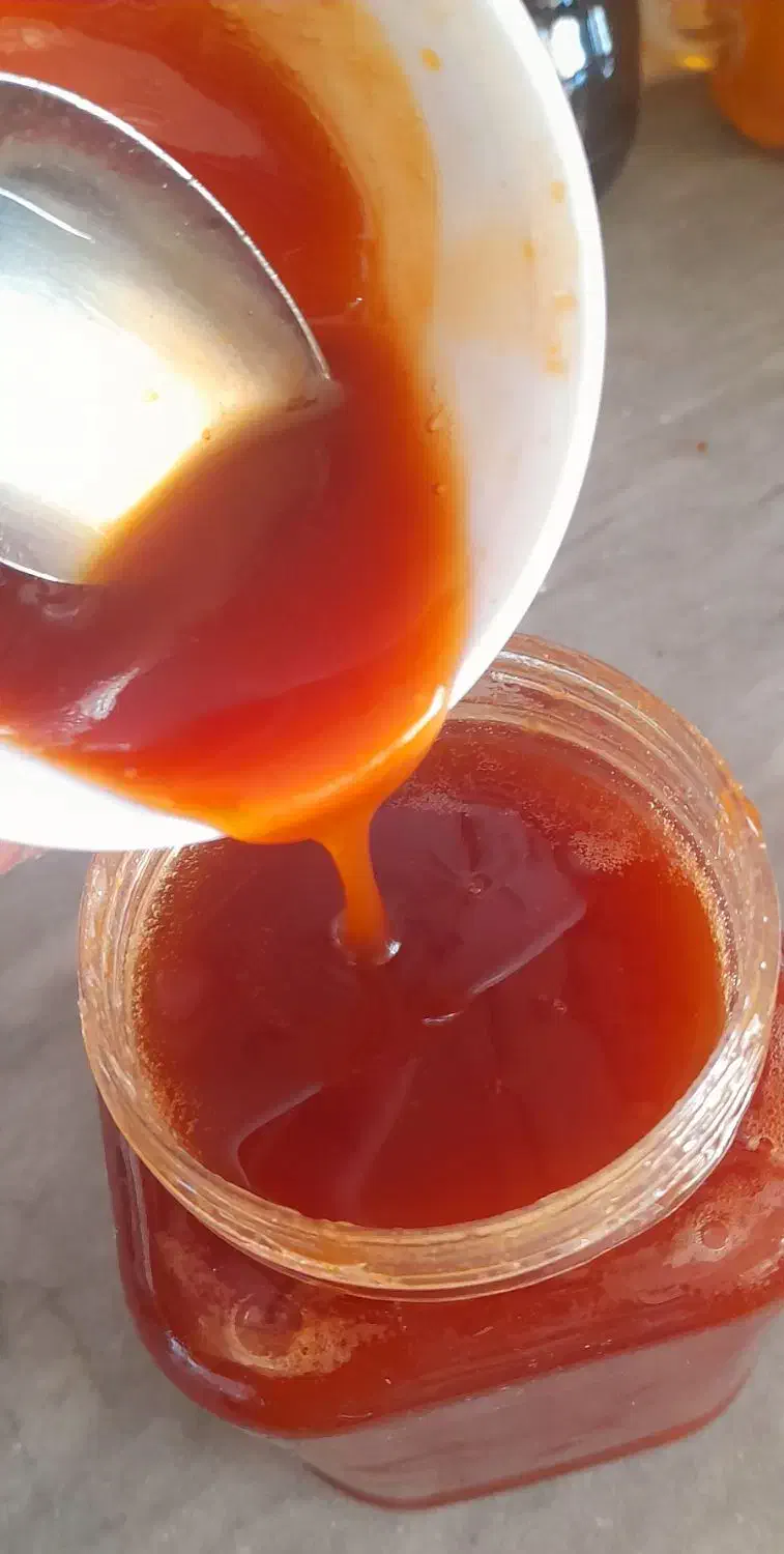 رب سیب کاملا طبیعی و تضمینی خانگی و کیفیت|خوردنی و آشامیدنی|اصفهان, دانشگاه اصفهان|دیوار