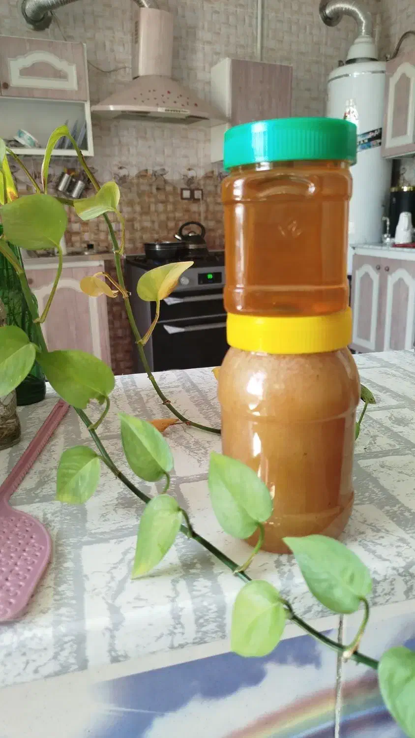 عسل کنار خالص|خوردنی و آشامیدنی|شیبکوه (فارس), |دیوار