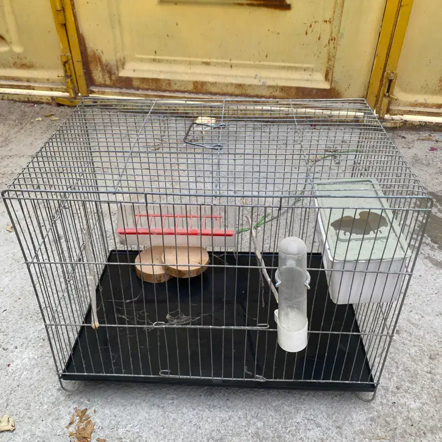 قفس پرنده،فنچ،بلبل،مرغ عشق|لوازم جانبی حیوانات|برازجان, |دیوار