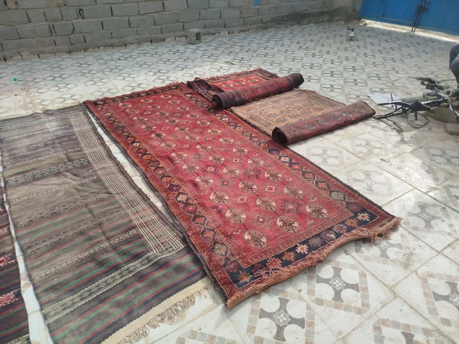 قالیچه|فرش|زهک, |دیوار