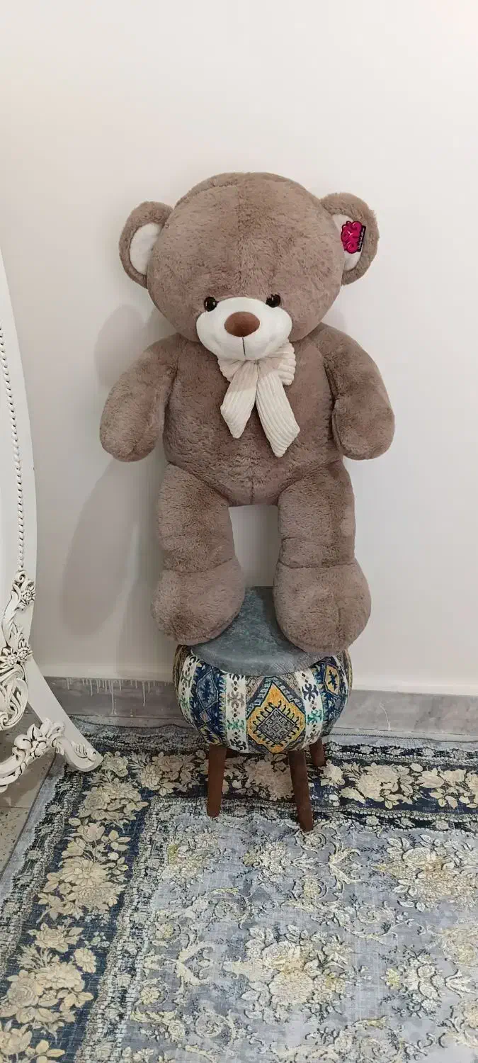 خرس خارجی|اسباب‌بازی بچه|شهریار, شهرک وائین|دیوار