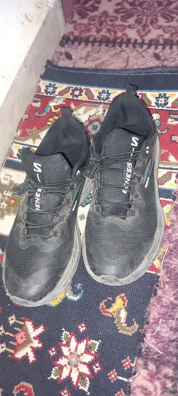 کتونی خارجی|کیف، کفش، کمربند|دورود, |دیوار