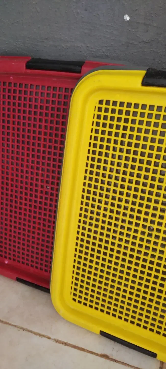 سینی دستشویی سگ سایزکوچیک|لوازم جانبی حیوانات|کرمان, |دیوار