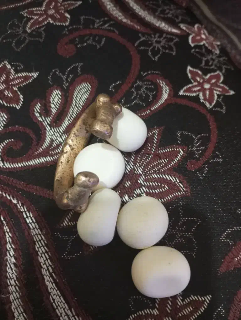 سنگ آسیاب|کلکسیون اشیاء عتیقه|باقرشهر, |دیوار