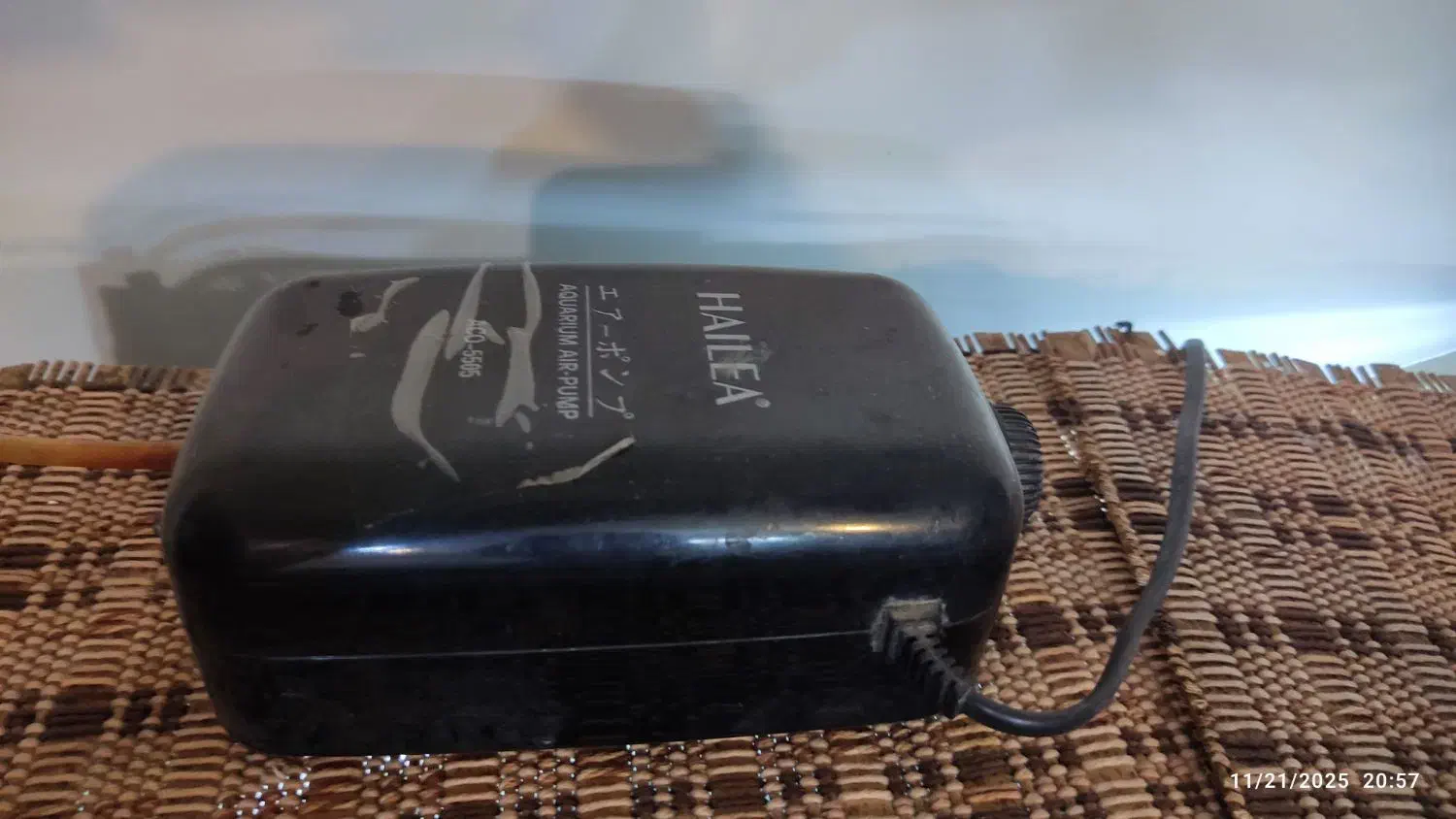 آکواریوم|ماهی|اصفهان, مسجد مصلی|دیوار