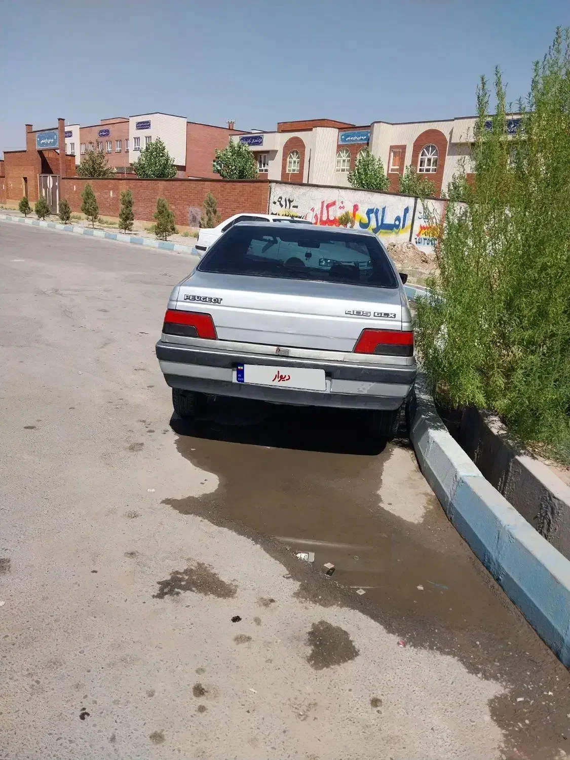 پژو۴۰۵ دوگانه|خودرو سواری و وانت|چهارباغ, |دیوار