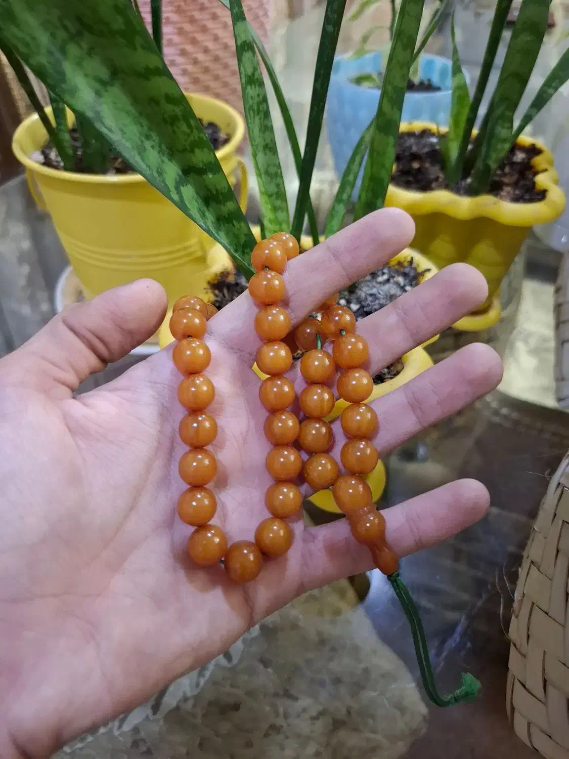 تسبیح کهربا|جواهرات|تبریز, |دیوار