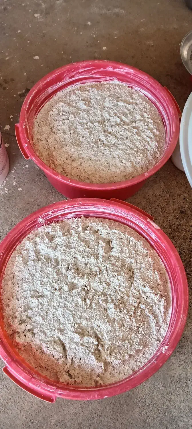 ترخینه گوسفندی|خوردنی و آشامیدنی|باوله, |دیوار