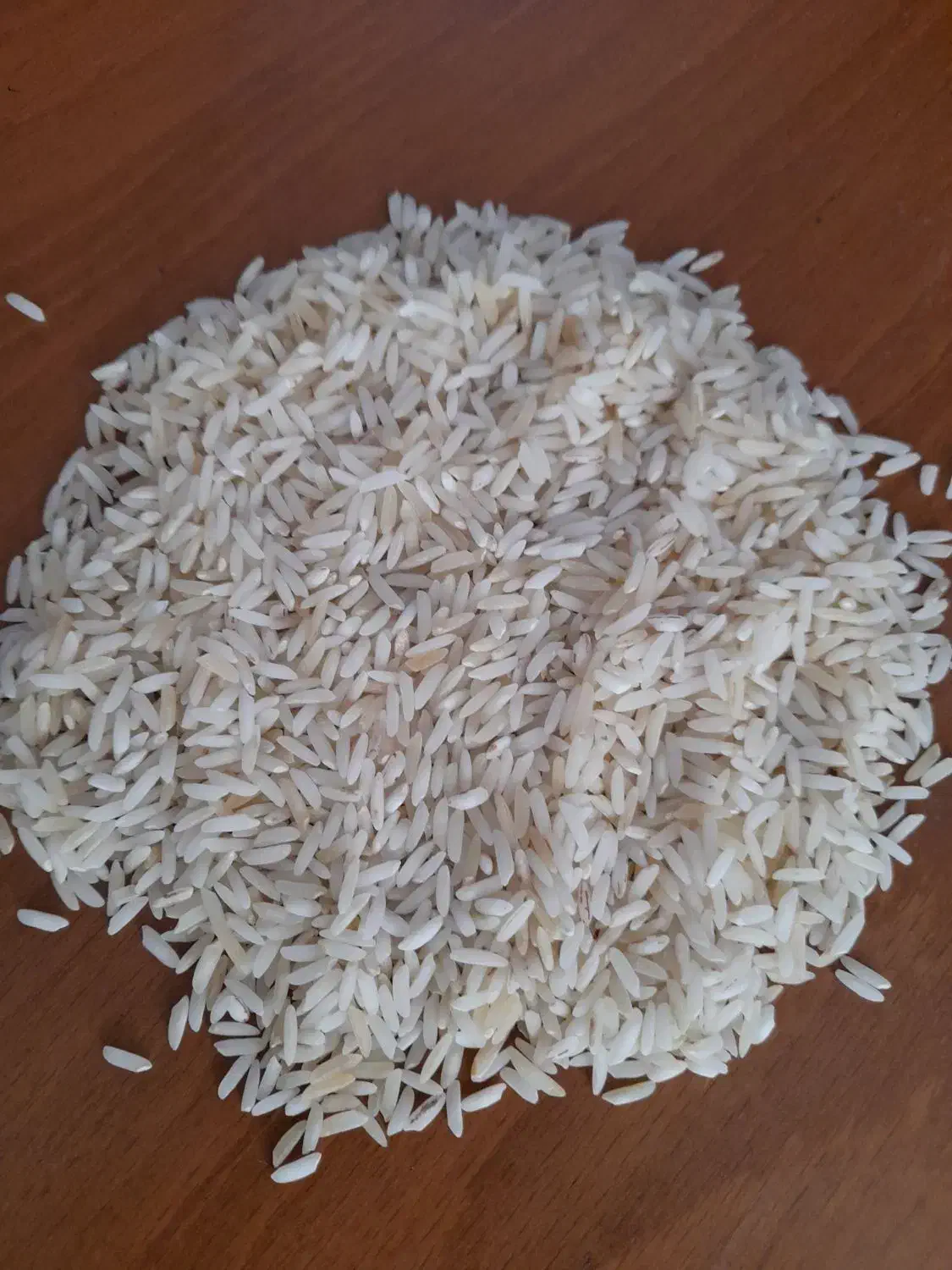 برنج زعفرانی طارم هاشمی محصول امسال|خوردنی و آشامیدنی|تبریز, |دیوار