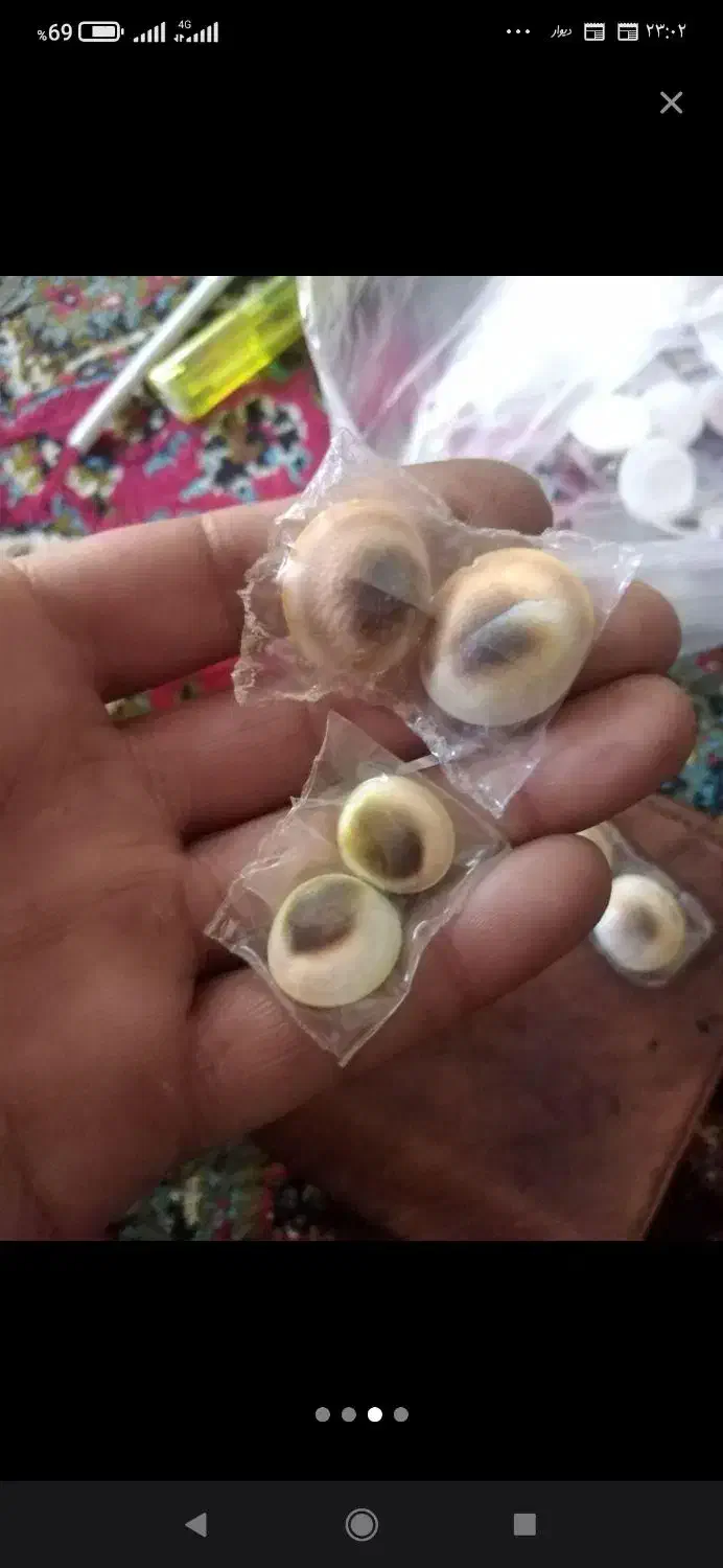 یاقوت هندی|جواهرات|گرگان, |دیوار