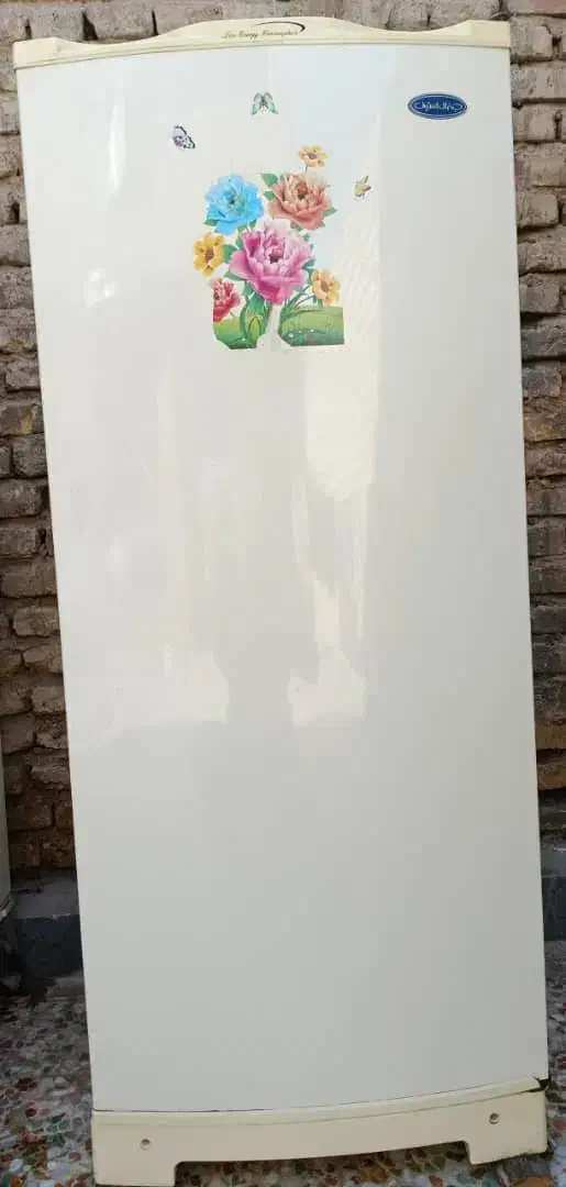 یخچال و فریزر|یخچال و فریزر|مرودشت, ژیان|دیوار