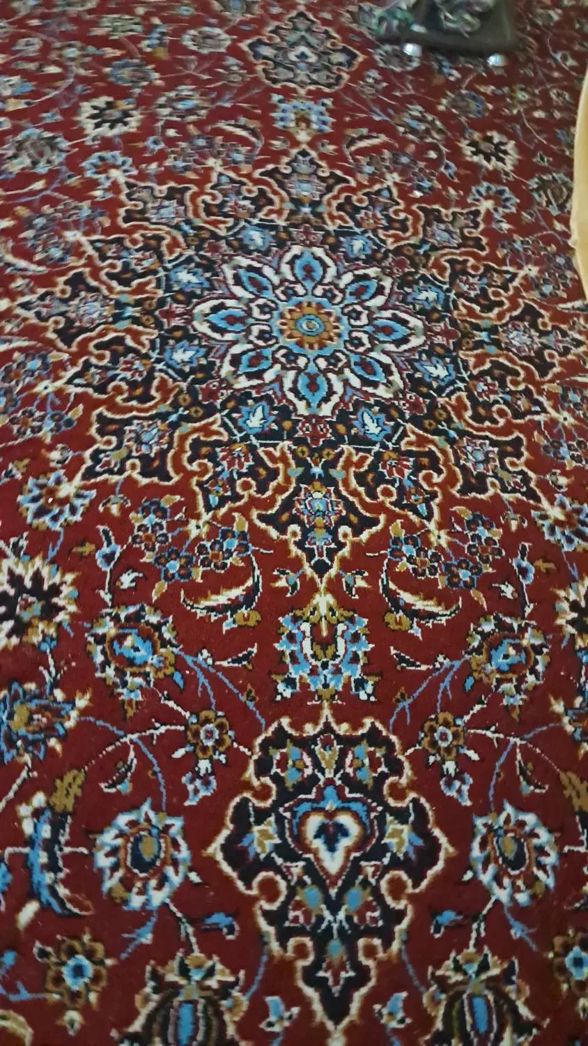 فرش قرمز|فرش|قم, نوبهار|دیوار