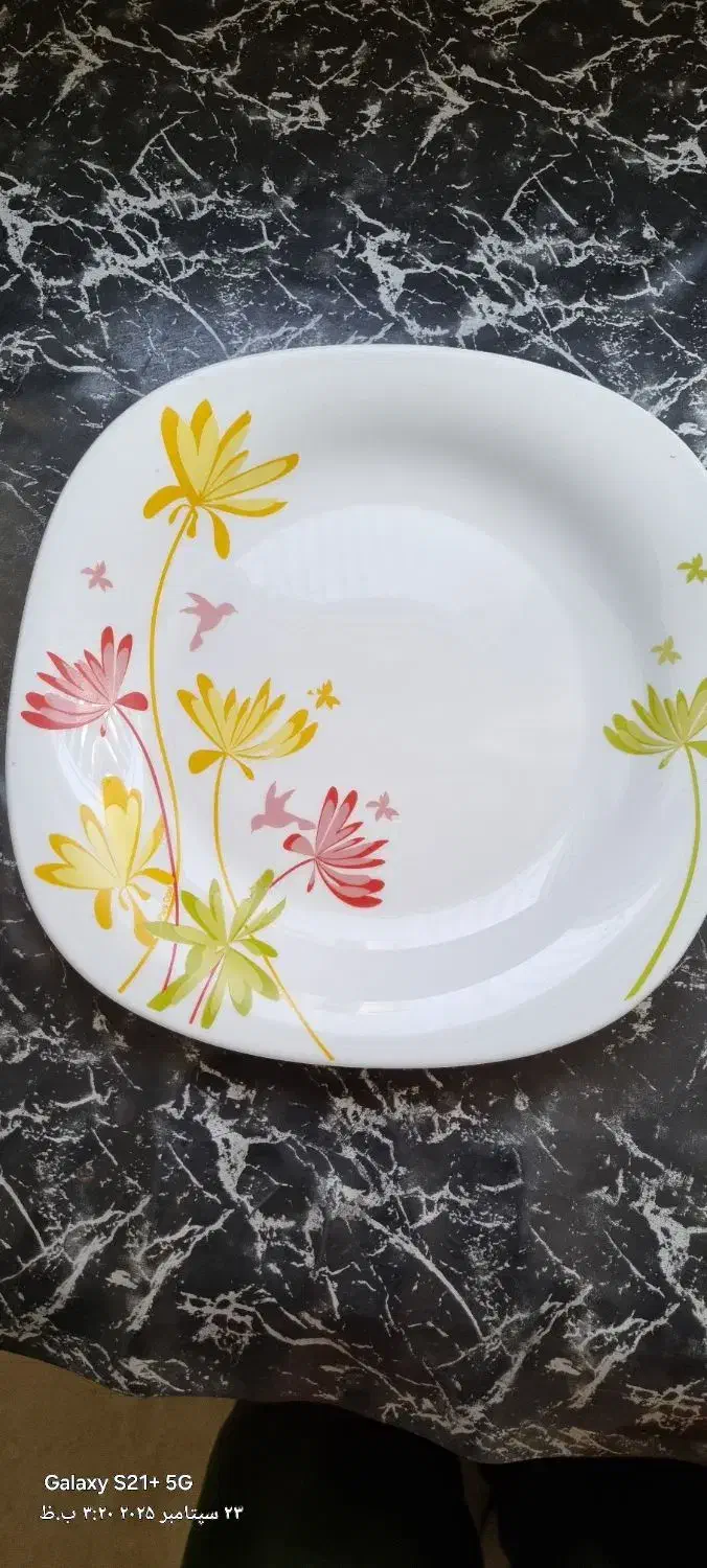 بشقاب پلو خوری و میوه خوری|ظروف سرو و پذیرایی|همدان, |دیوار