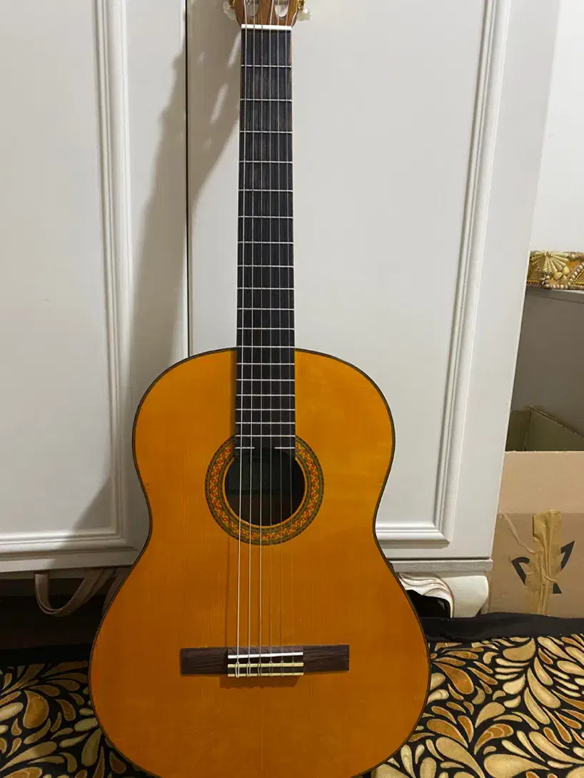 گیتار یاماها|گیتار، بیس، امپلیفایر|کرمان, |دیوار