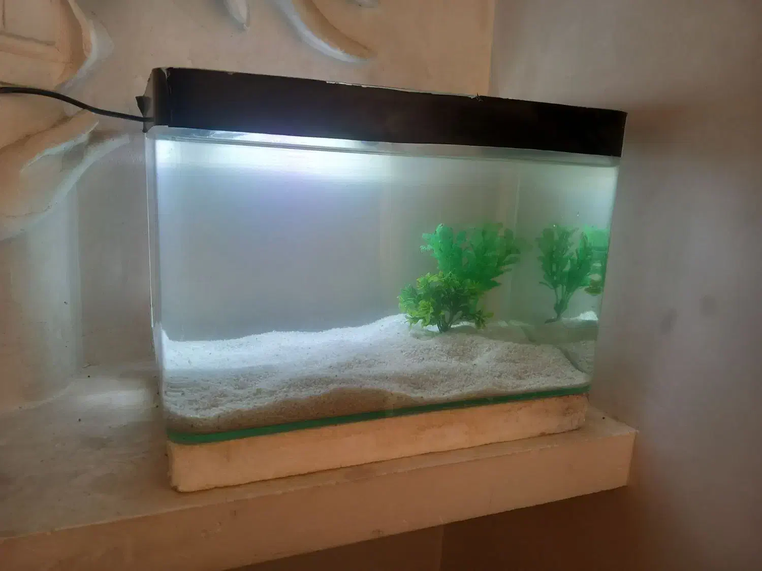 آکواریوم شیشه خم|ماهی|قدس, شهر‌قدس|دیوار