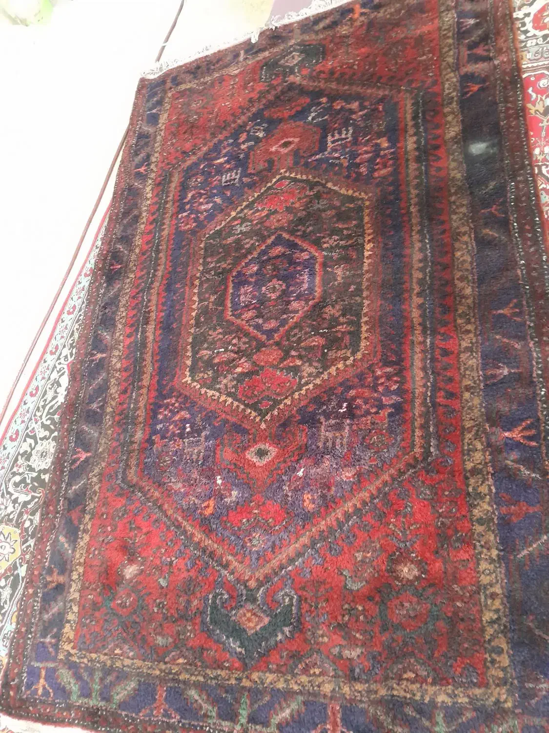 یک عددفرش دستباف پشمی|فرش|زنجان, |دیوار