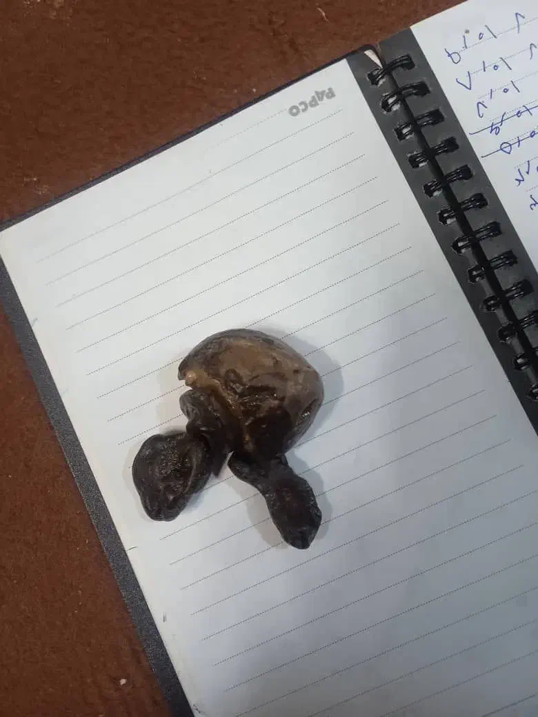 این چیه کی میدونه|کلکسیون اشیاء عتیقه|فولادشهر, A2|دیوار