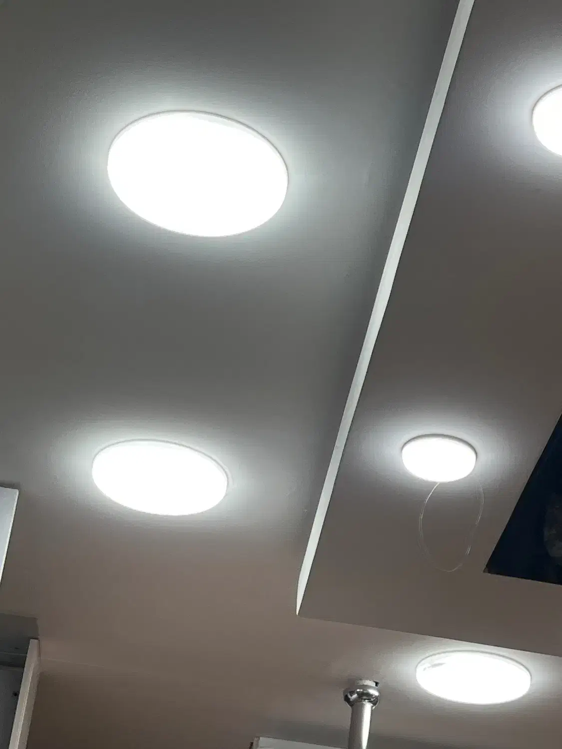 هالوژن ۱۶ عدد|لامپ و چراغ|اصفهان, جلفا|دیوار