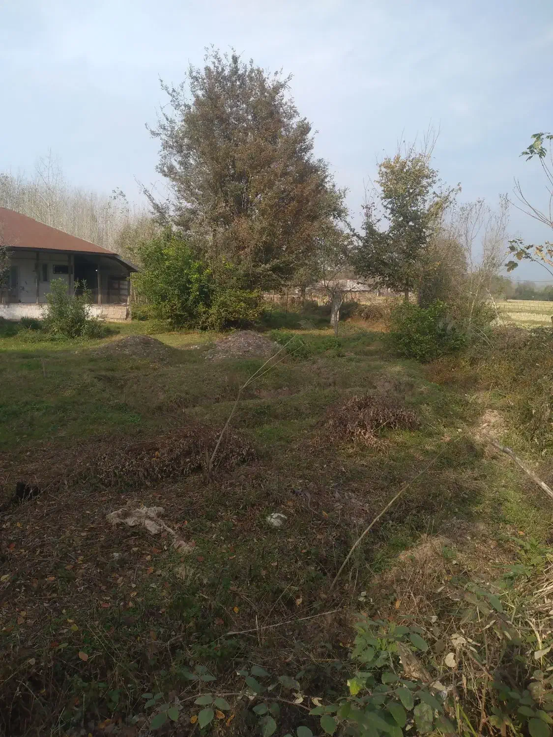 زمین مسکونی در سنگر با پروانه|فروش زمین و ملک کلنگی|رشت, کاکتوس|دیوار