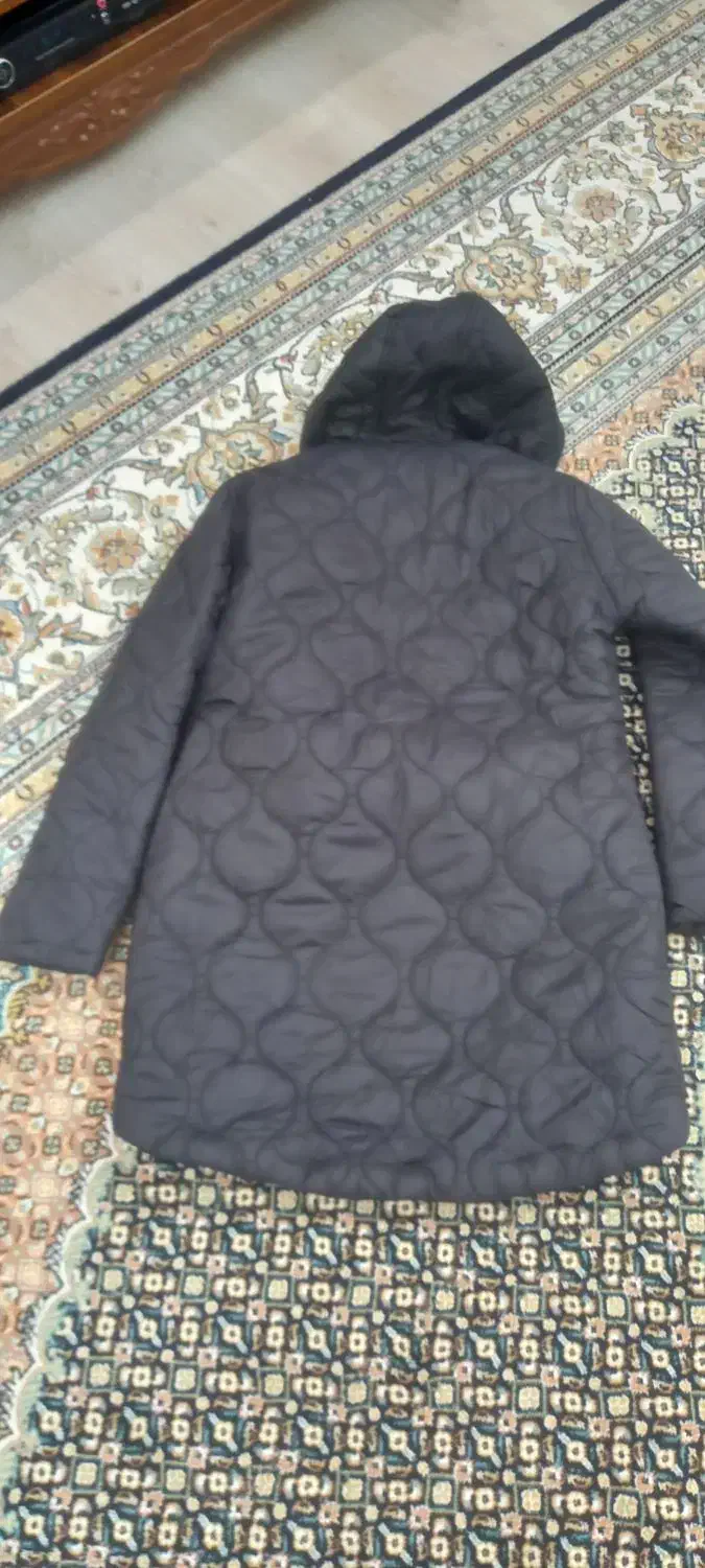 کاپشن وپافر|لباس|اردبیل, |دیوار