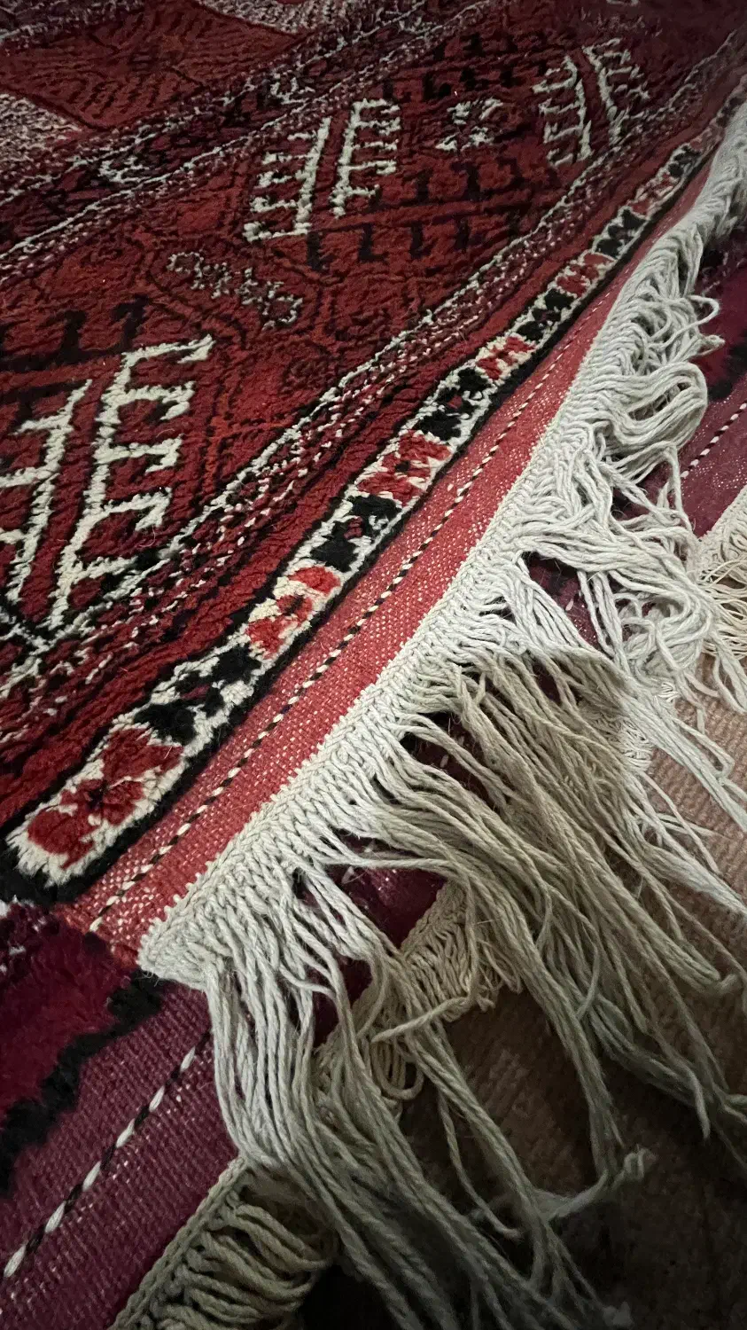 فرش دستباف|فرش|گنبد کاووس, |دیوار