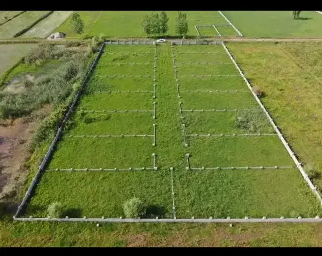 زمین اقساطی سرخرود|فروش زمین و ملک کلنگی|سرخرود, |دیوار