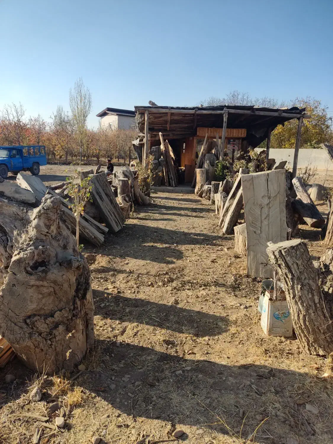 خرید و فروش انواع چوب|خدمات باغبانی و درختکاری|دماوند, دماوند|دیوار