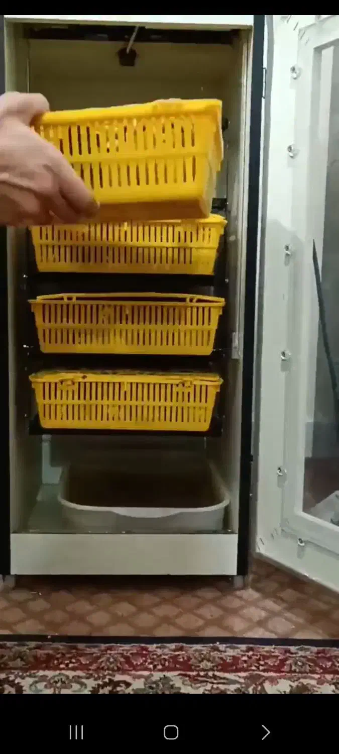 دستگاه جوجه کشی|لوازم جانبی حیوانات|جیرفت, |دیوار