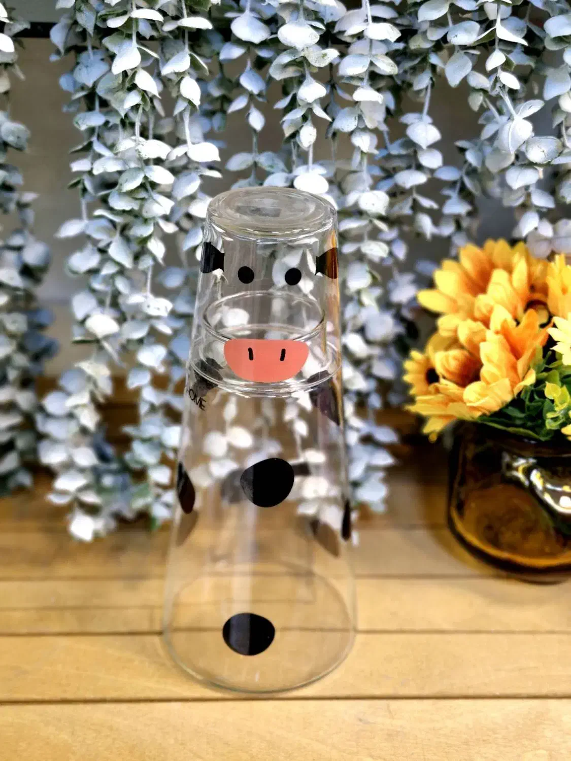 نگهدارنده|ظروف نگهدارنده، پلاستیکی، یک‌بارمصرف|همدان, |دیوار