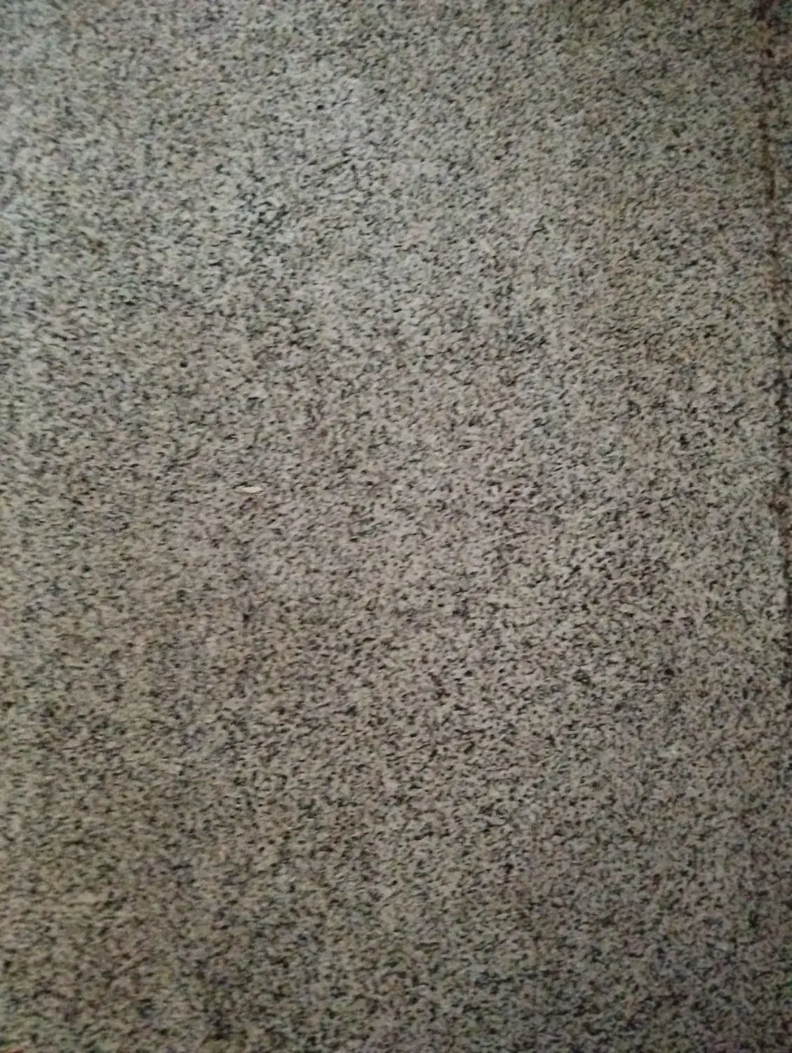 پالاز موکت|موکت|خرمشهر, |دیوار