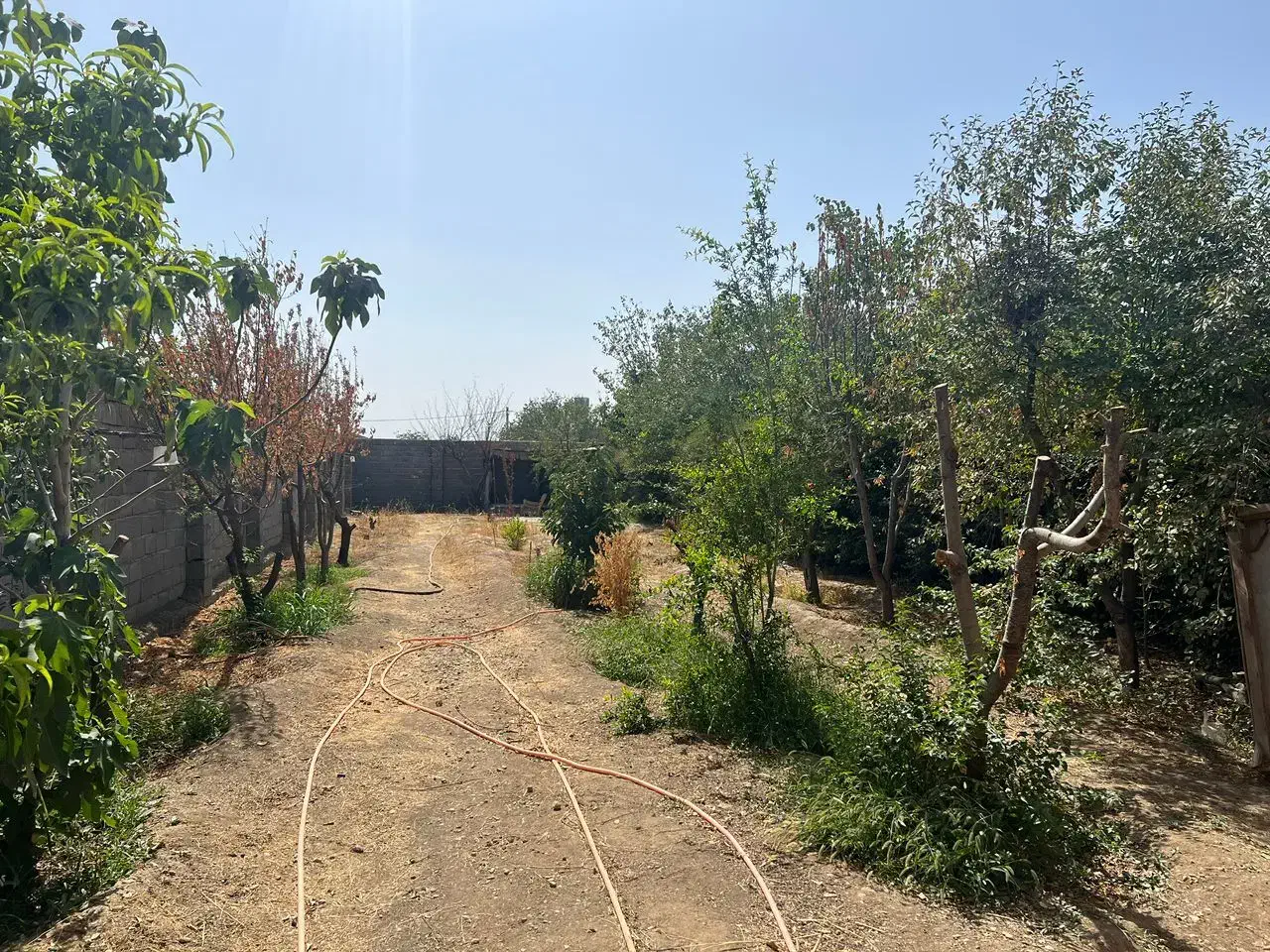 زمین چهاردیواری|فروش زمین و ملک کلنگی|هشتگرد, کوی بهروز|دیوار